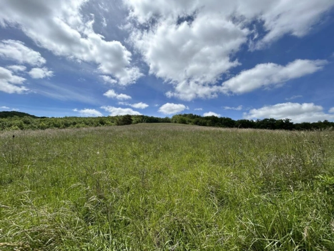 Photos 15 - Touristique - Domaine