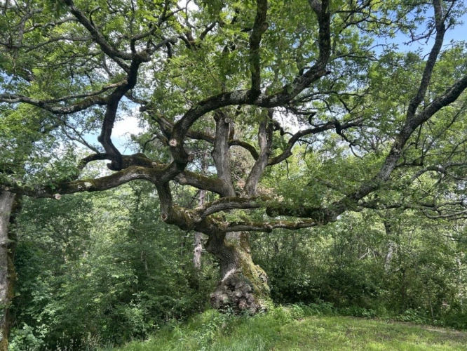 Photos 16 - Touristique - Domaine