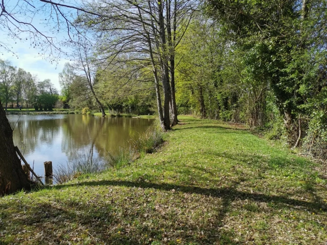 Photos 3 - Rural - Recreational grounds with pond