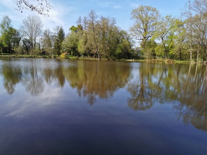 Photos 4 - Rural - Recreational grounds with pond