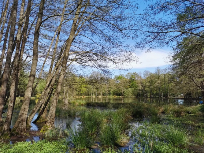Photos 5 - Rural - Recreational grounds with pond