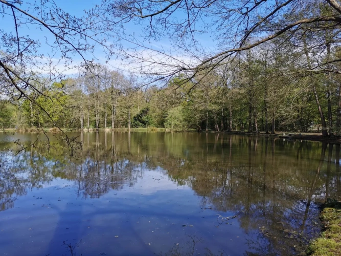 Photos 6 - Rural - Recreational grounds with pond