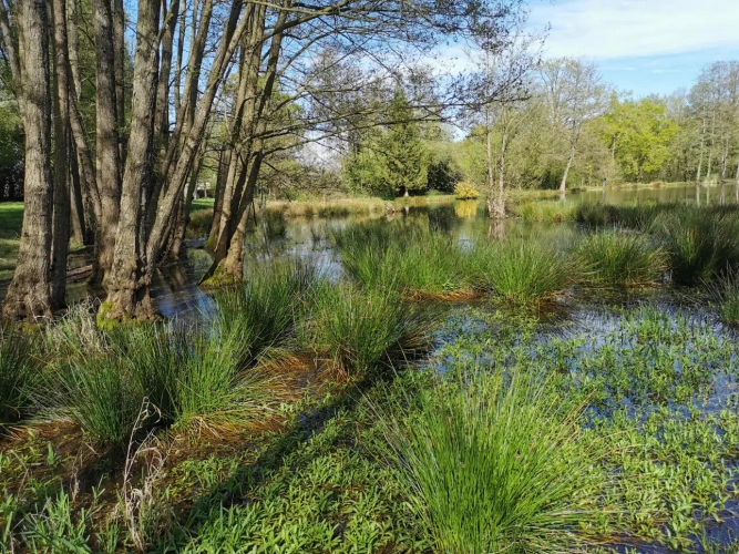 Photos 7 - Rural - Recreational grounds with pond