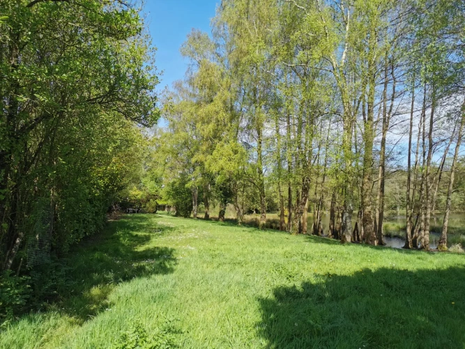 Photos 8 - Rural - Recreational grounds with pond