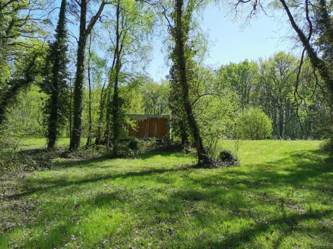 Photos 12 - Rural - pond, woods and meadow