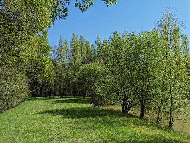 Photos 13 - Rural - pond, woods and meadow