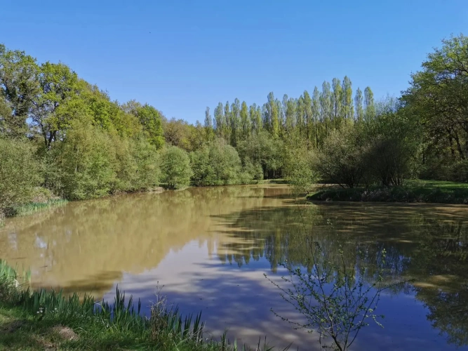 Photos 14 - Rural - pond, woods and meadow