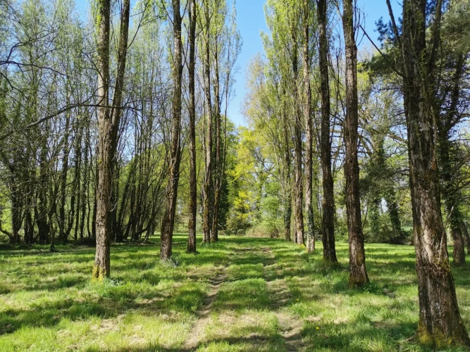 Photos 1 - Rural - pond, woods and meadow