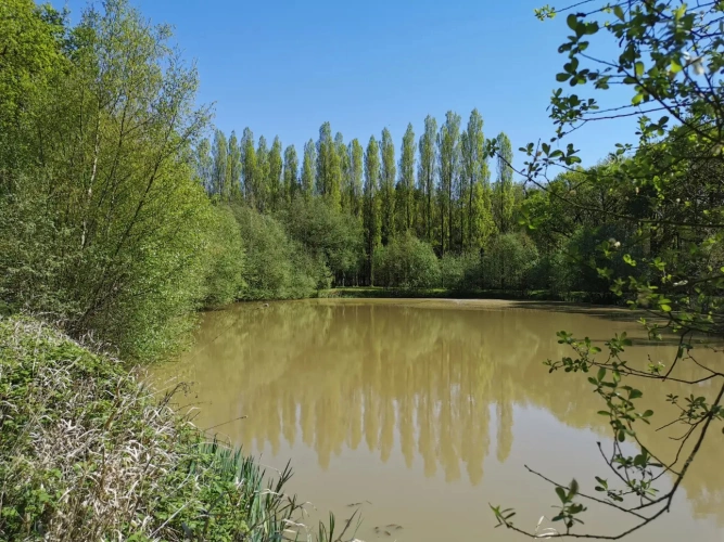 Photos 2 - Rural - pond, woods and meadow