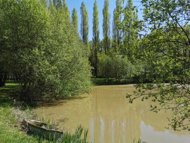 Photos 5 - Rural - pond, woods and meadow