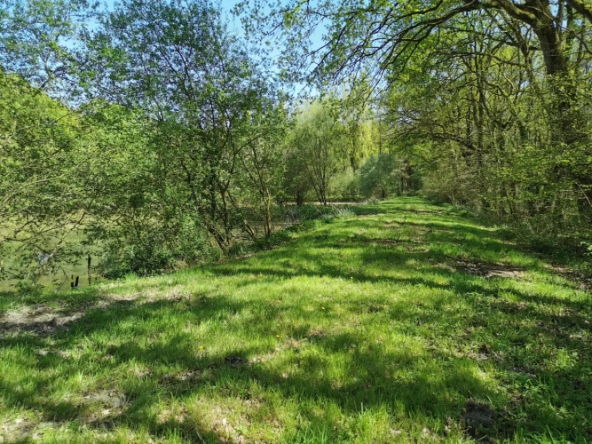 Photos 7 - Rural - pond, woods and meadow