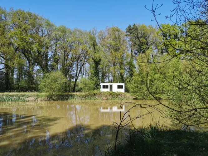 Photos 8 - Rural - pond, woods and meadow