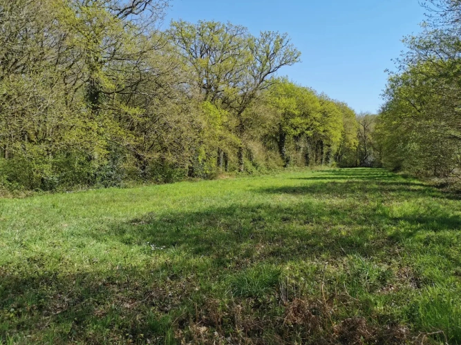 Photos 9 - Rural - pond, woods and meadow