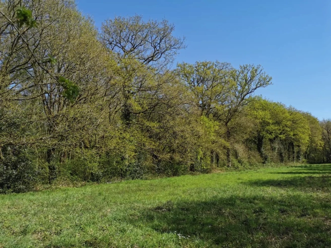 Photos 10 - Rural - pond, woods and meadow