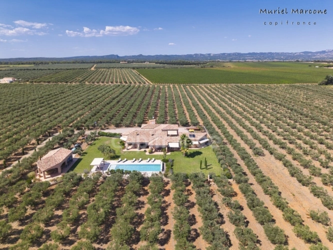 Photos 2 - Prestige - Propriété d’exception de 290 m2 au cœur de la Vallée des Baux-de-Provence sur 25 hectares 7 pièces MOULES (13)