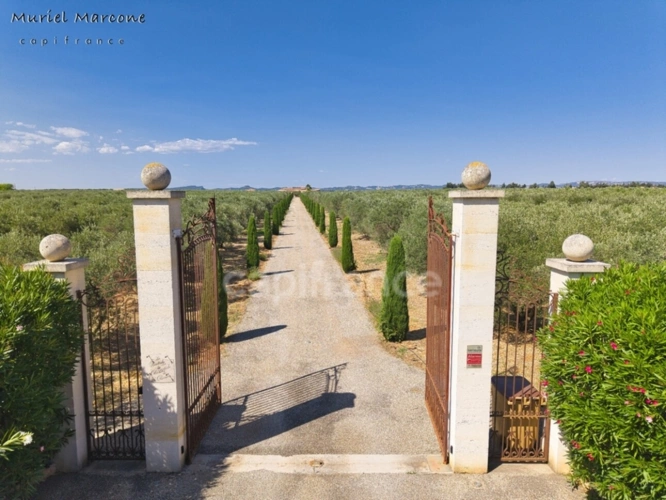 Photos 41 - Prestige - Propriété d’exception de 290 m2 au cœur de la Vallée des Baux-de-Provence sur 25 hectares 7 pièces MOULES (13)