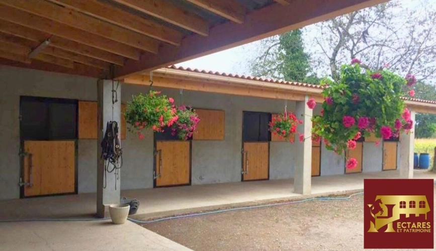 Photos 6 - Équestre - Propriété équestre 3,4 hectares