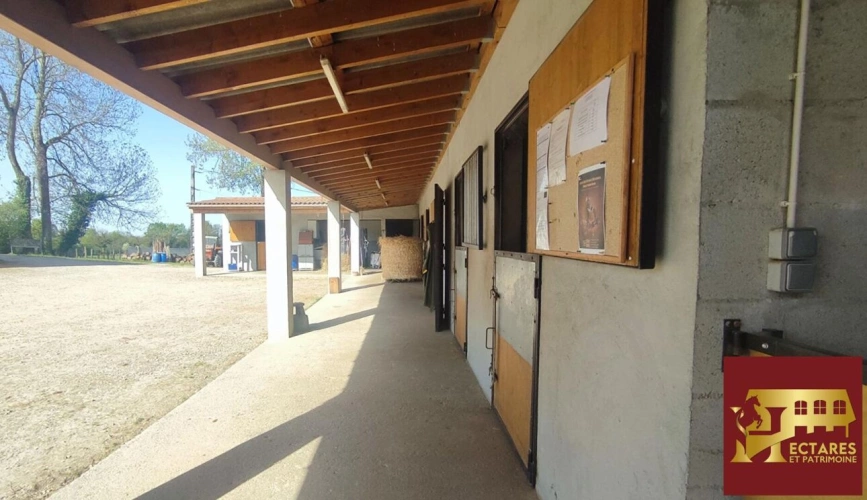 Photos 7 - Équestre - Propriété équestre 3,4 hectares