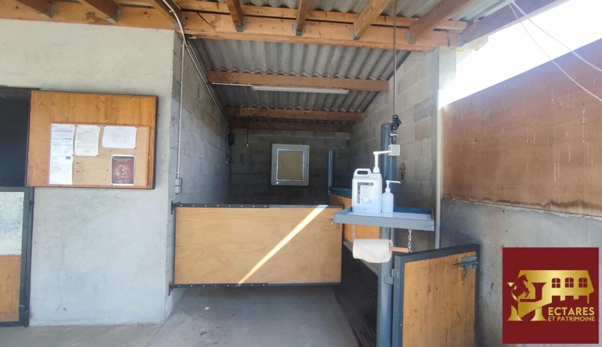 Photos 8 - Équestre - Propriété équestre 3,4 hectares