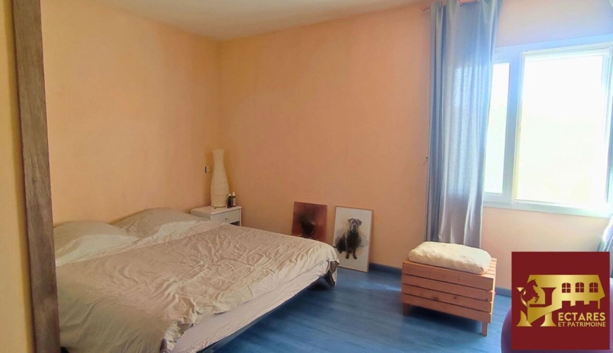 Photos 14 - Équestre - Propriété équestre 3,4 hectares