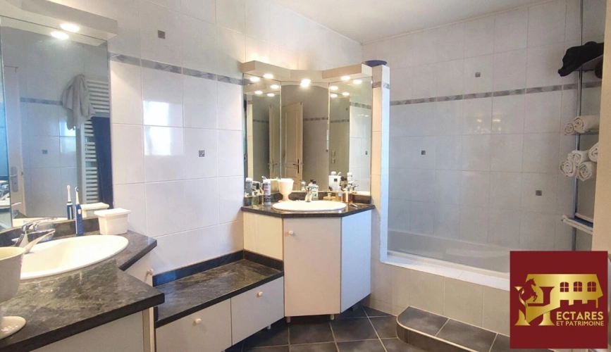 Photos 16 - Équestre - Propriété équestre 3,4 hectares