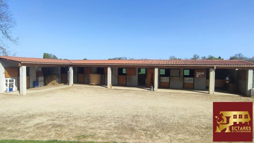 Photos 17 - Équestre - Propriété équestre 3,4 hectares