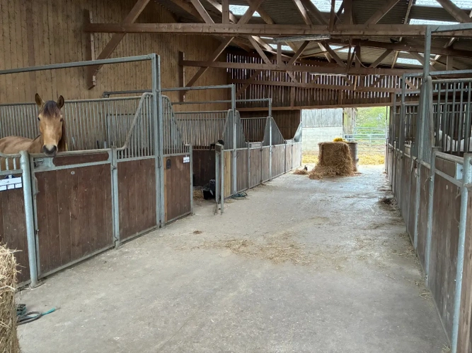 Photos 2 - Équestre - Centre équestre sur 12 ha, Ploërmel / Guer- Installations complètes