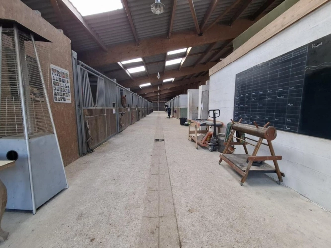 Photos 8 - Prestige - Propriété d'exception avec domaine équestre - À 20 minut