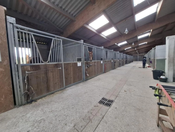 Photos 9 - Prestige - Propriété d'exception avec domaine équestre - À 20 minut