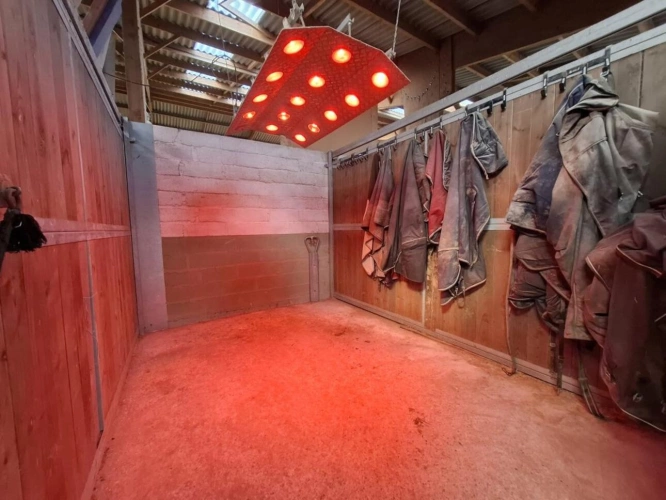 Photos 10 - Prestige - Propriété d'exception avec domaine équestre - À 20 minut