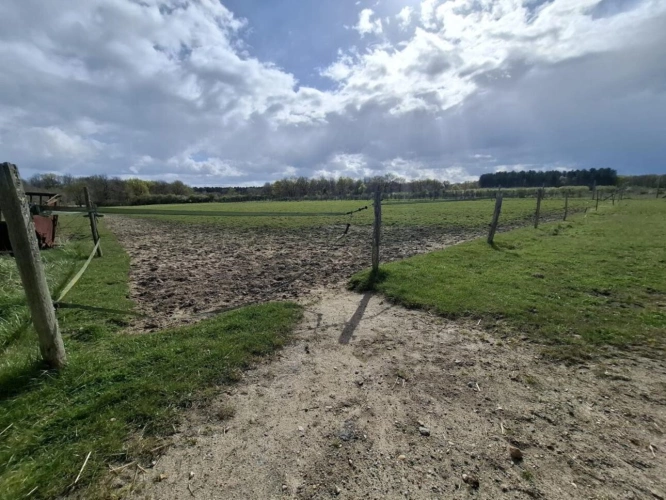 Photos 11 - Prestige - Propriété d'exception avec domaine équestre - À 20 minut