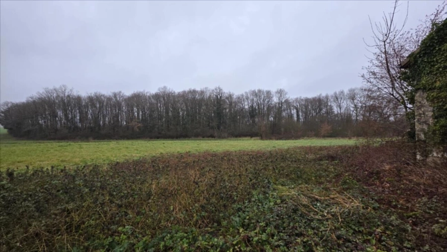 Photos 5 - Rural - Exclusif Luçay le Mâle