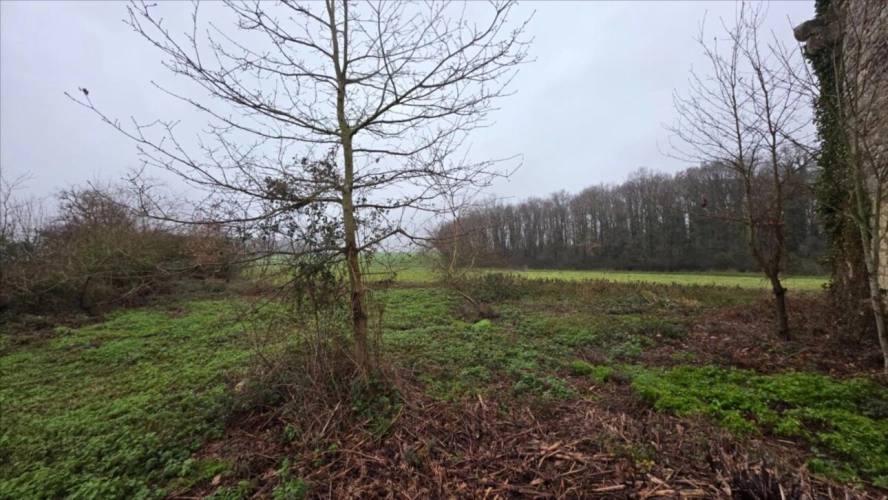 Photos 6 - Rural - Exclusif Luçay le Mâle