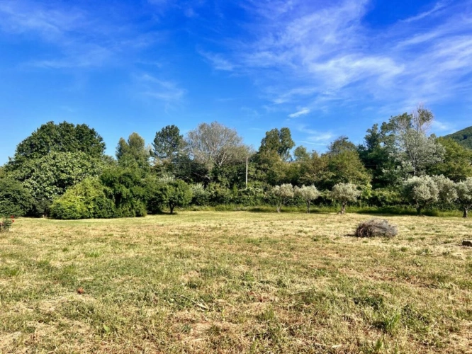 Photos 2 - Rurale - Grande ferme rénovée avec dépendances et fort potentiel d'am
