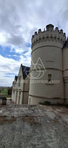 Photos 3 - Prestige - Château/vignoble d’appelation “Saumur” rénové. Idéal pour mariages et évènementiel