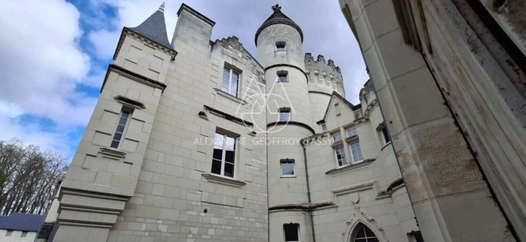 Photos 5 - Prestige - Château/vignoble d’appelation “Saumur” rénové. Idéal pour mariages et évènementiel