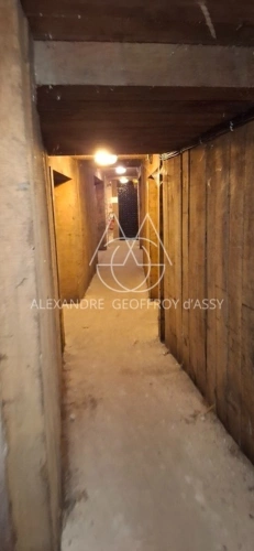 Photos 20 - Prestige - Château/vignoble d’appelation “Saumur” rénové. Idéal pour mariages et évènementiel