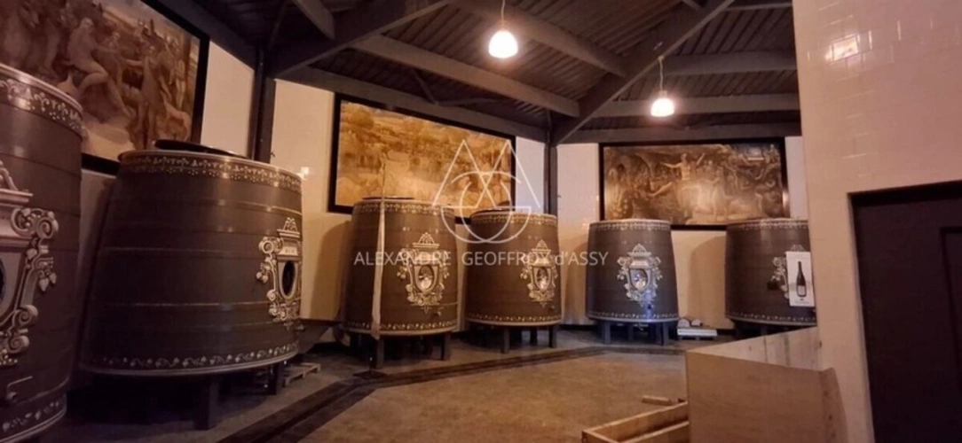 Photos 21 - Prestige - Château/vignoble d’appelation “Saumur” rénové. Idéal pour mariages et évènementiel