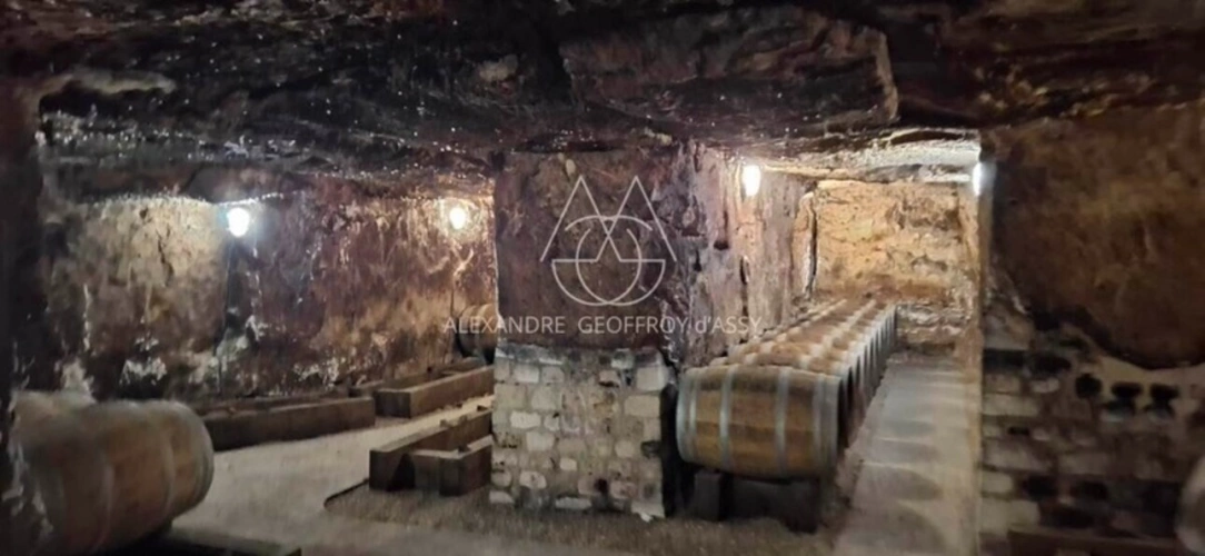 Photos 22 - Prestige - Château/vignoble d’appelation “Saumur” rénové. Idéal pour mariages et évènementiel