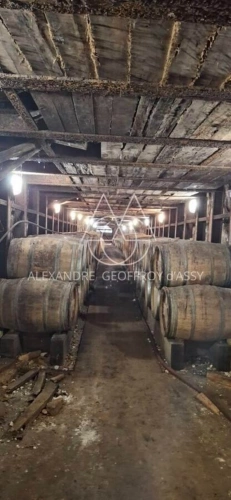 Photos 23 - Prestige - Château/vignoble d’appelation “Saumur” rénové. Idéal pour mariages et évènementiel