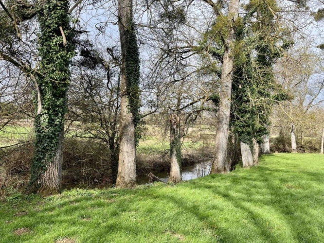 Photos 4 - Rural - House