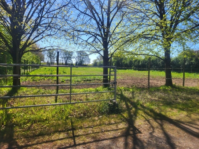 Photos 14 - Prestige - Propriete à vendre 10 pièces AUBIGNY (79) Terrain 27 715 m²