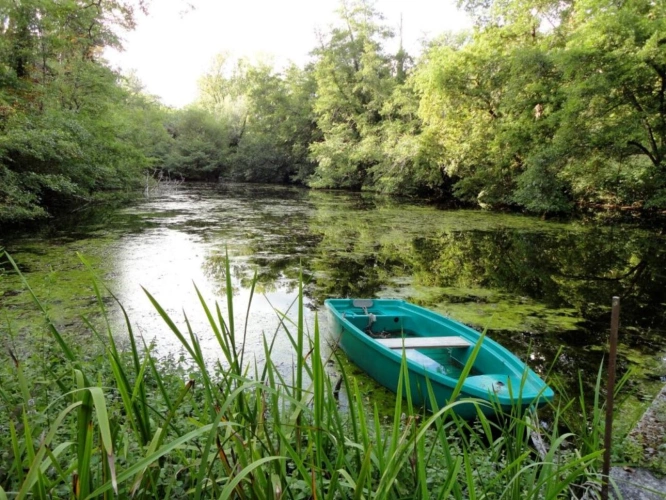 Photos 5 - Prestige - Château