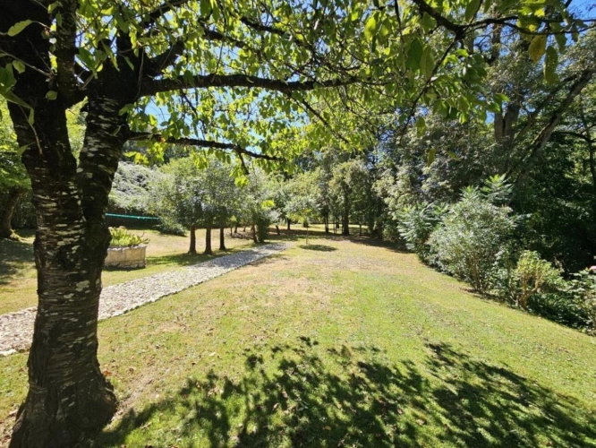 Photos 3 - Rurale - Moulin