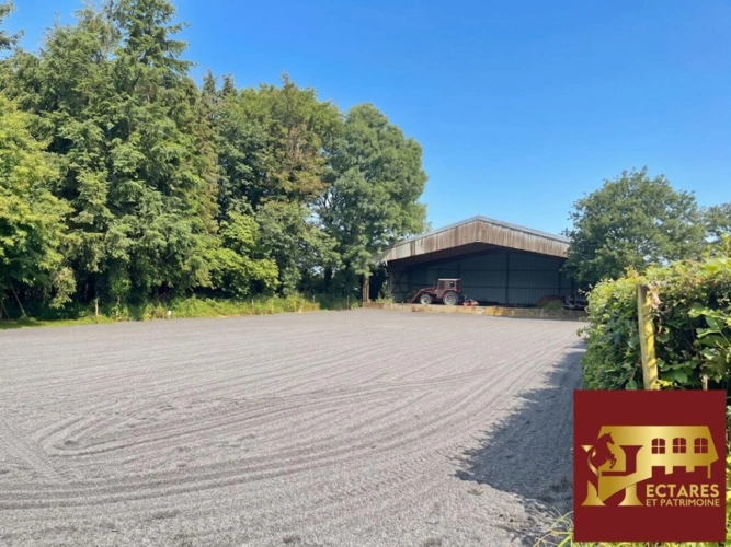 Photos 4 - Touristique - Domaine équestre 26 Hectares avec Gîte