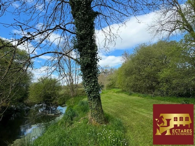 Photos 6 - Touristique - Domaine équestre 26 Hectares avec Gîte