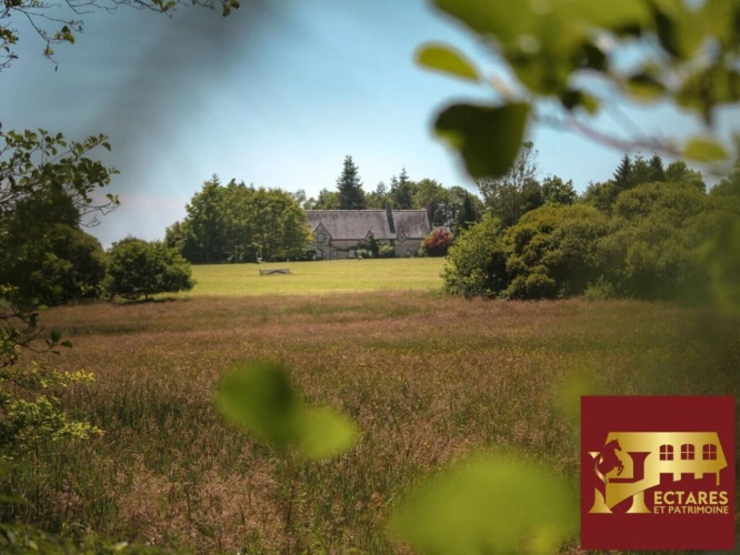 Photos 7 - Touristique - Domaine équestre 26 Hectares avec Gîte