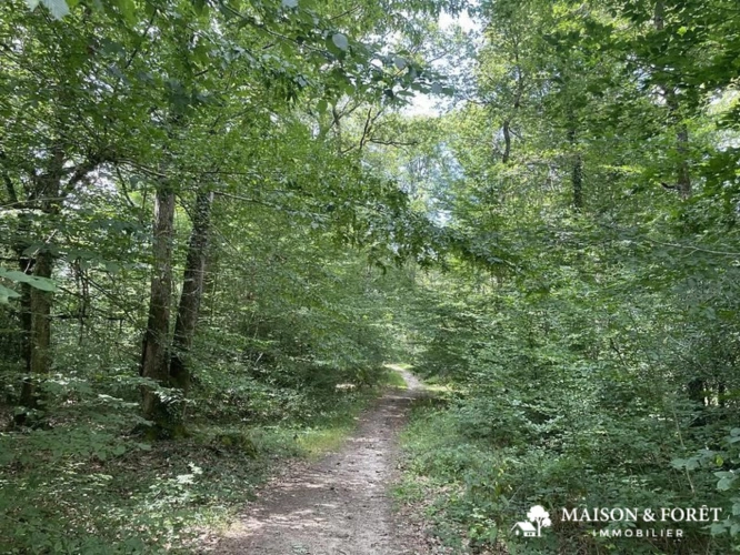 Photos 1 - Prestige - PROPRIÉTÉ