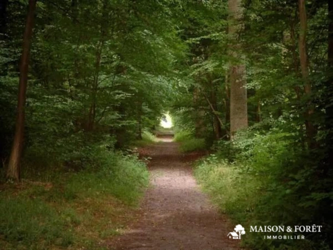 Photos 2 - Prestige - PROPRIÉTÉ