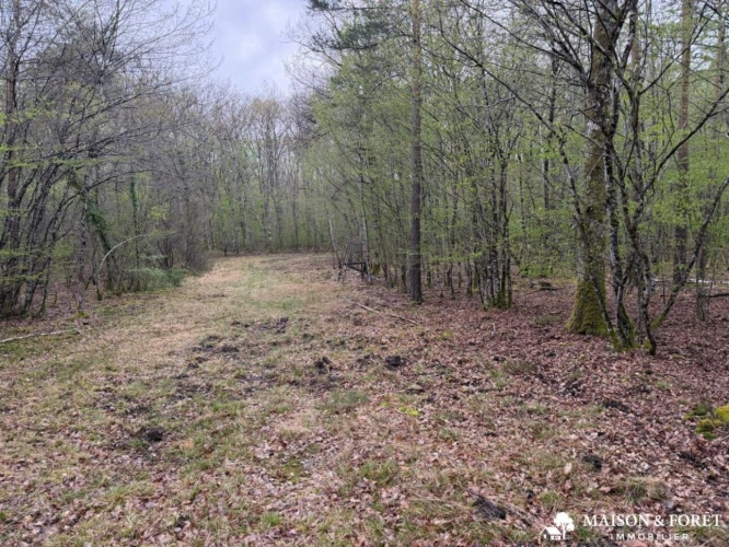 Photos 1 - Prestige - PROPRIÉTÉ de 165ha